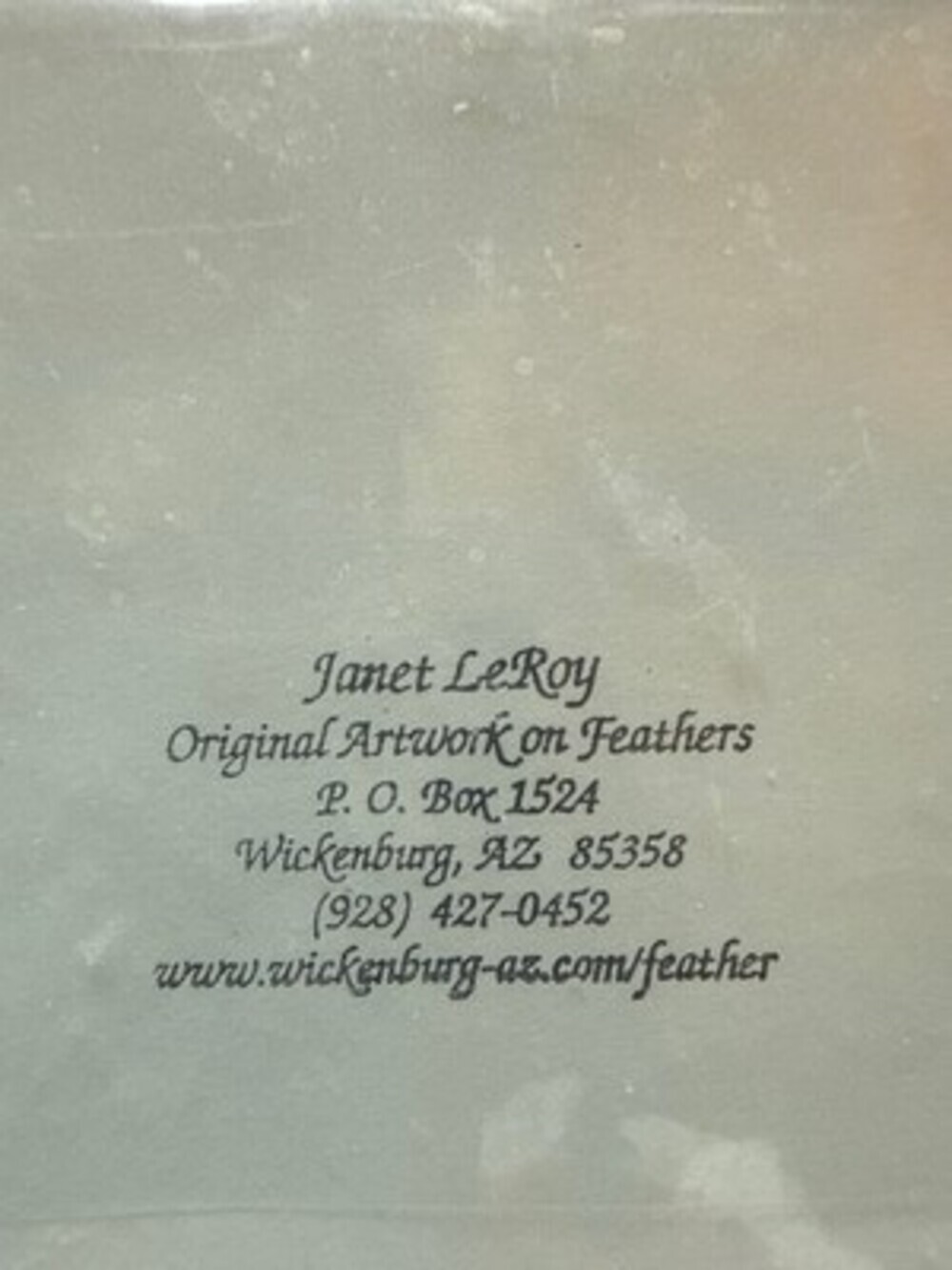 Janet LeRoy Signed Numbered Print "Congo" 3/100 African Grey Parrot Feather Art - Picture 2 of 3